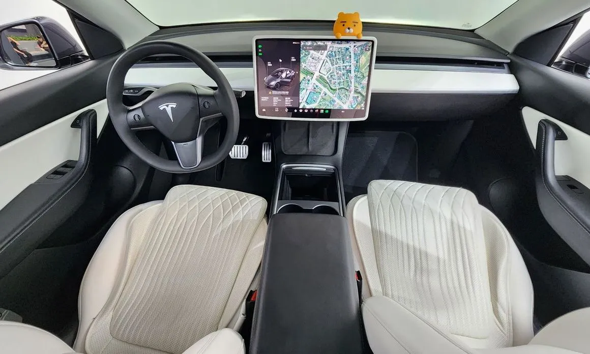 Tesla Model Y — фото 10