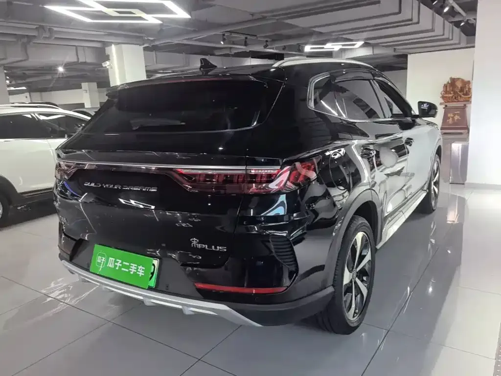 BYD PLUS New Energy — фото 10
