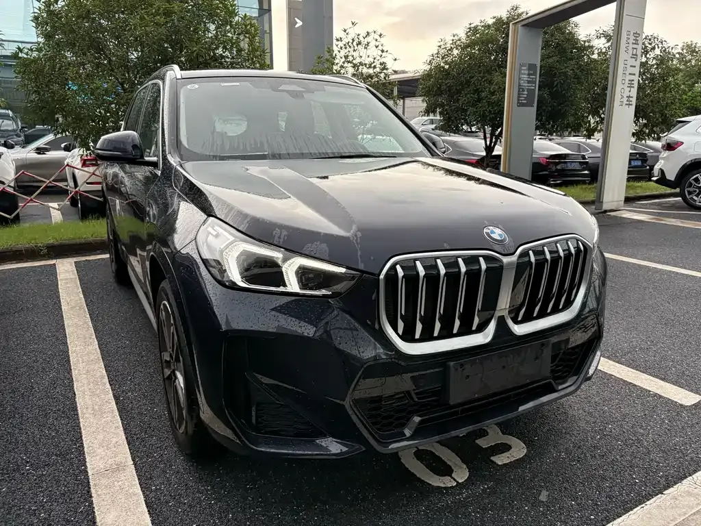 BMW X1 — фото 9