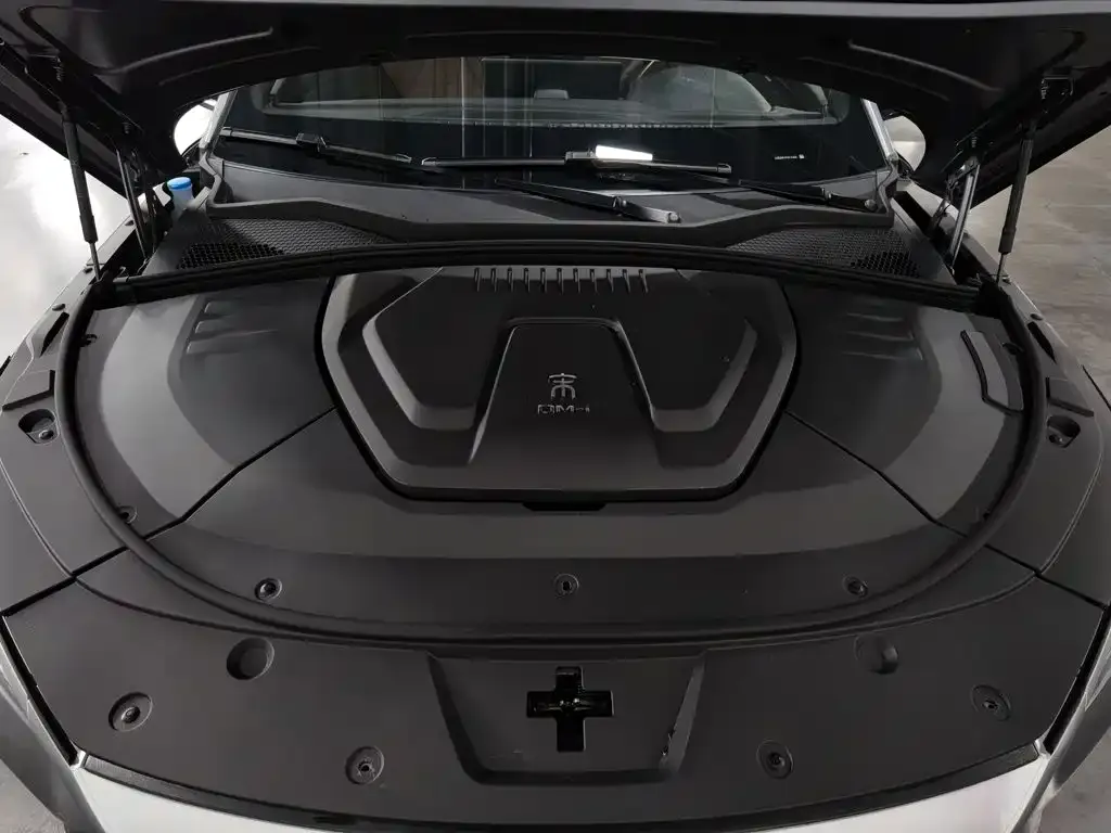 BYD PLUS New Energy — фото 4