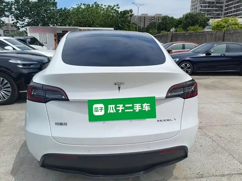 Tesla Model Y — фото 9