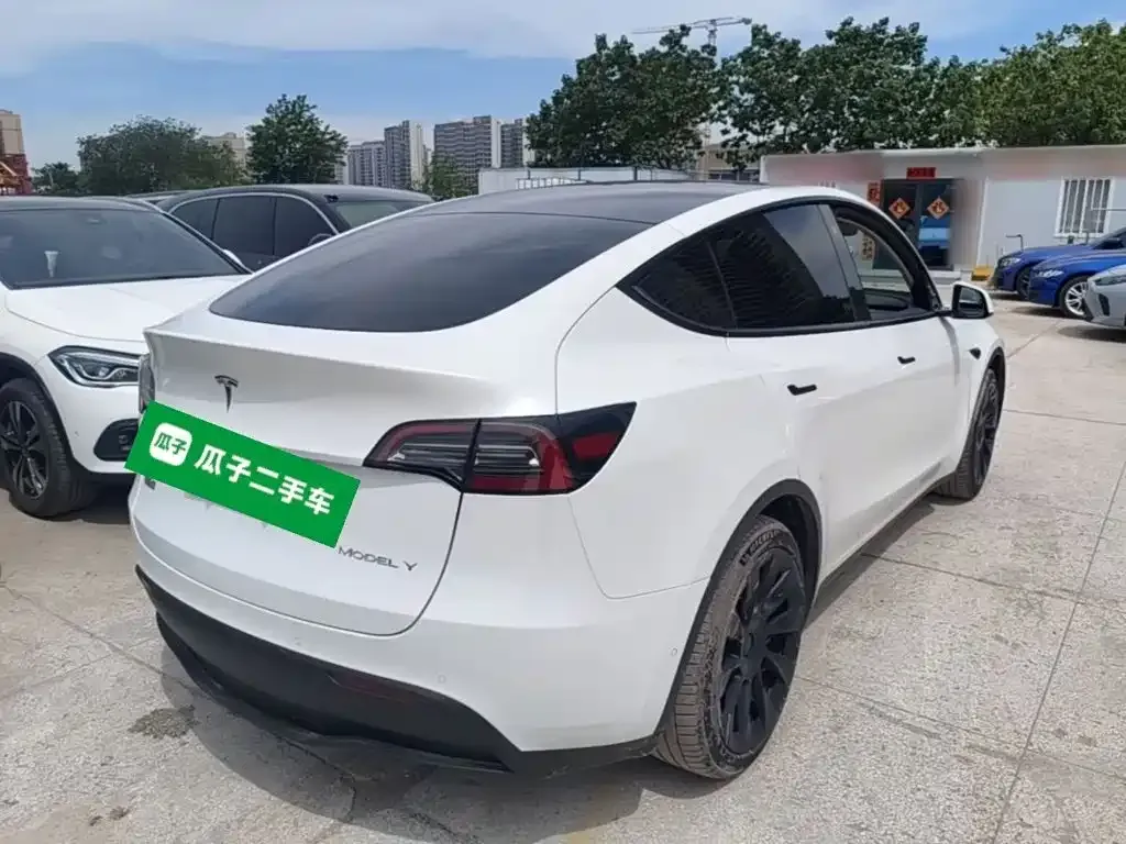 Tesla Model Y — фото 8