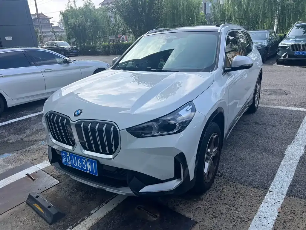 BMW X1 — фото 1