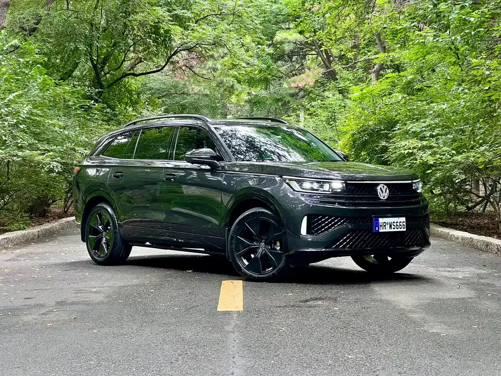 Volkswagen Tavendor 2024 из CN, фото 6