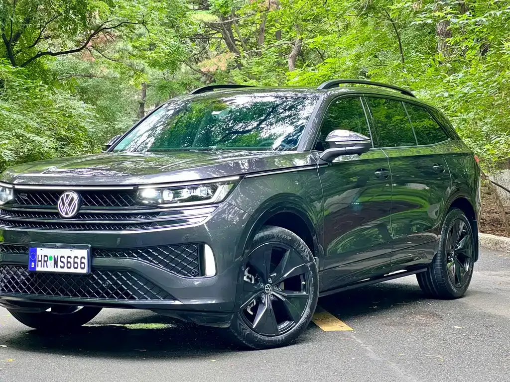 Volkswagen Tavendor 2024 из CN, фото 9