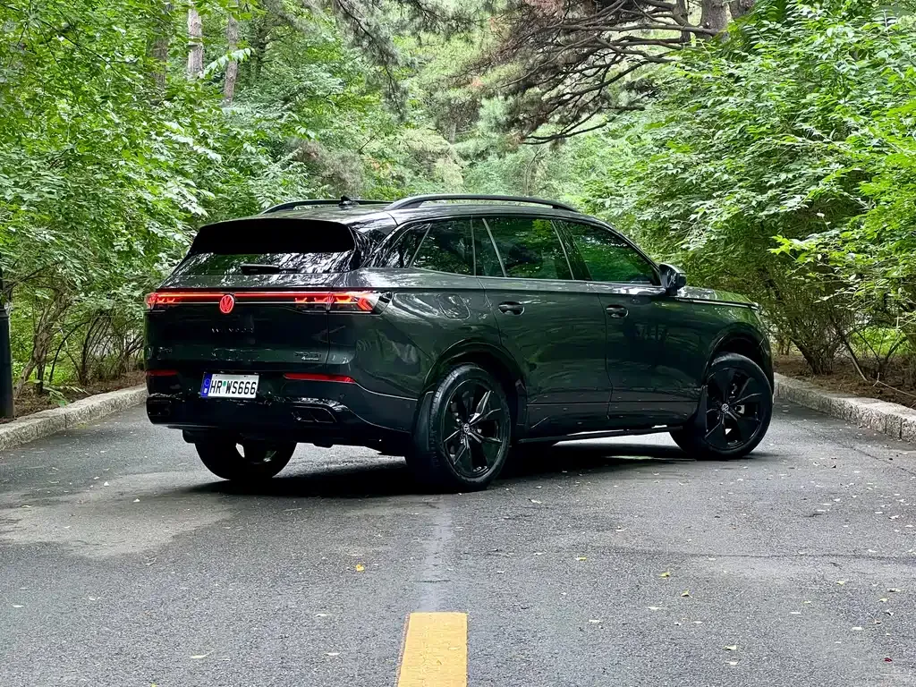 Volkswagen Tavendor 2024 из CN, фото 5