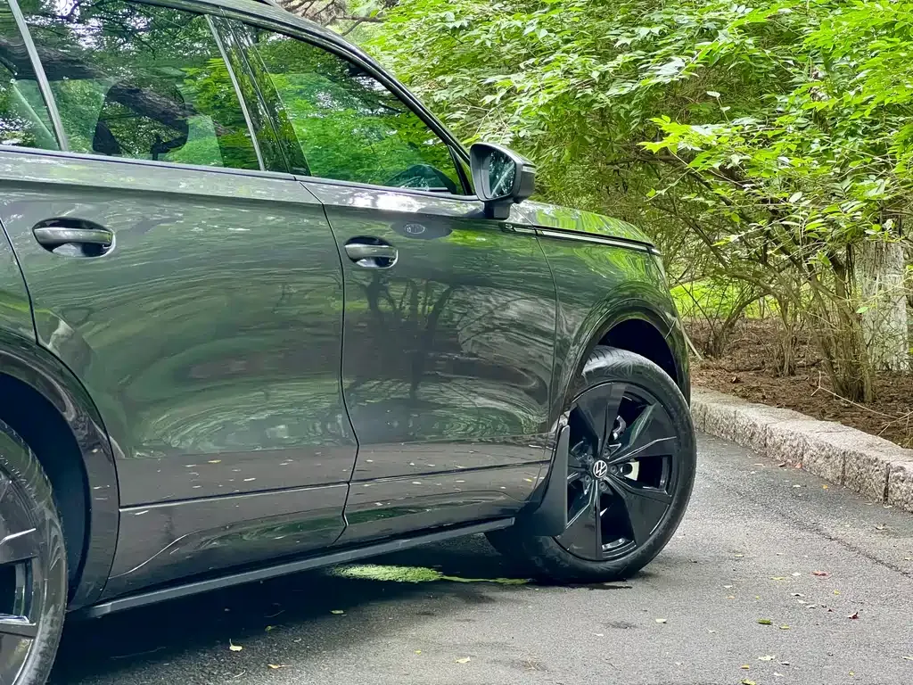 Volkswagen Tavendor 2024 из CN, фото 4