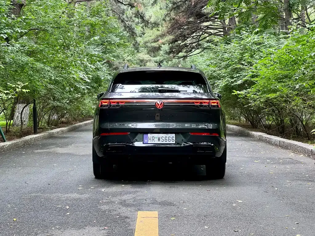 Volkswagen Tavendor 2024 из CN, фото 8