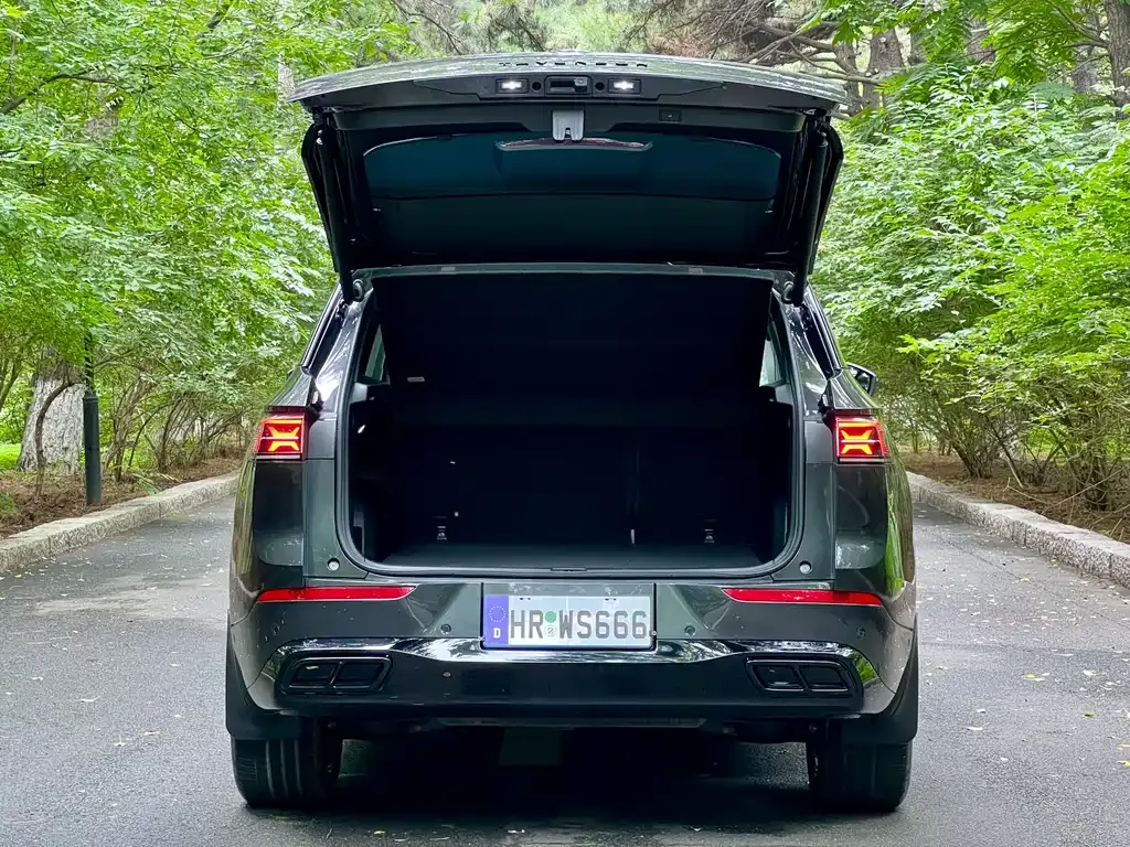Volkswagen Tavendor 2024 из CN, фото 10