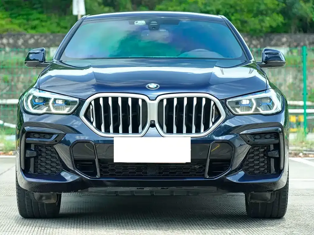 BMW X6 — фото 8
