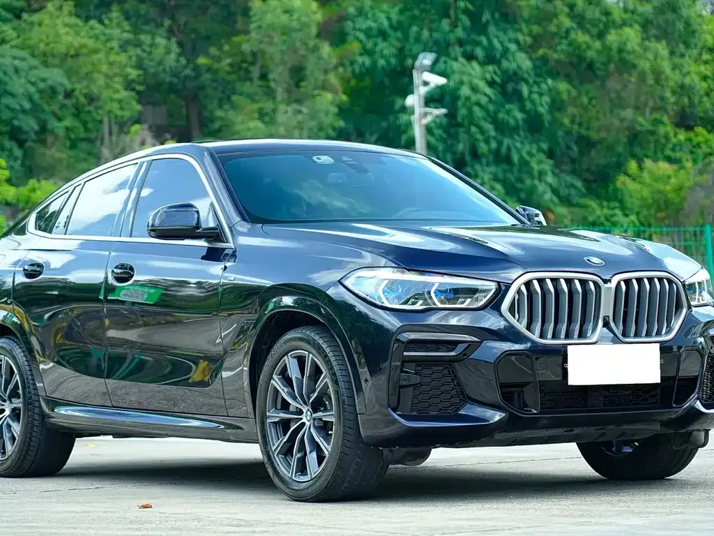 BMW X6 — фото 7