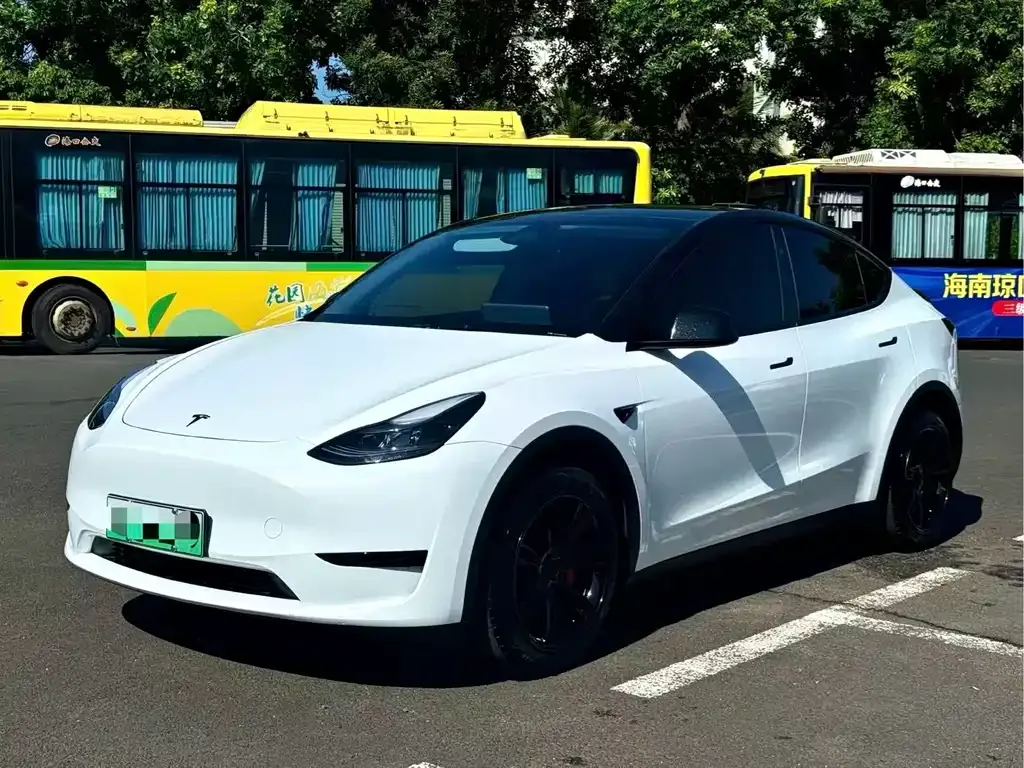 Tesla Model Y — фото 1