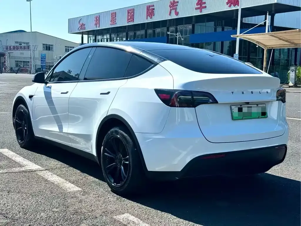 Tesla Model Y — фото 8