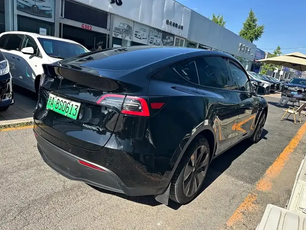 Tesla Model Y — фото 10