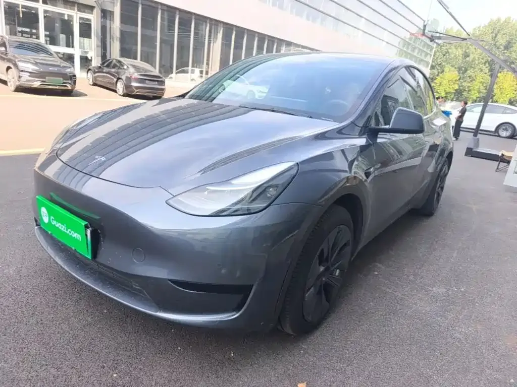Tesla Model Y — фото 9