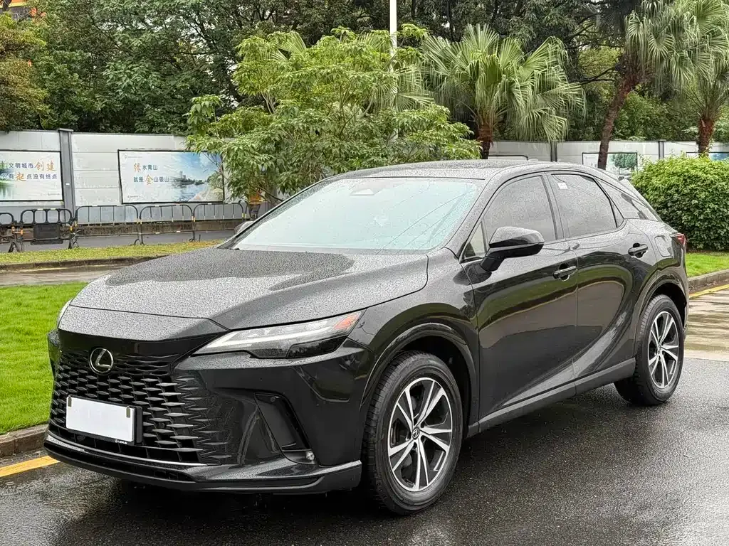 Lexus RX — фото 1