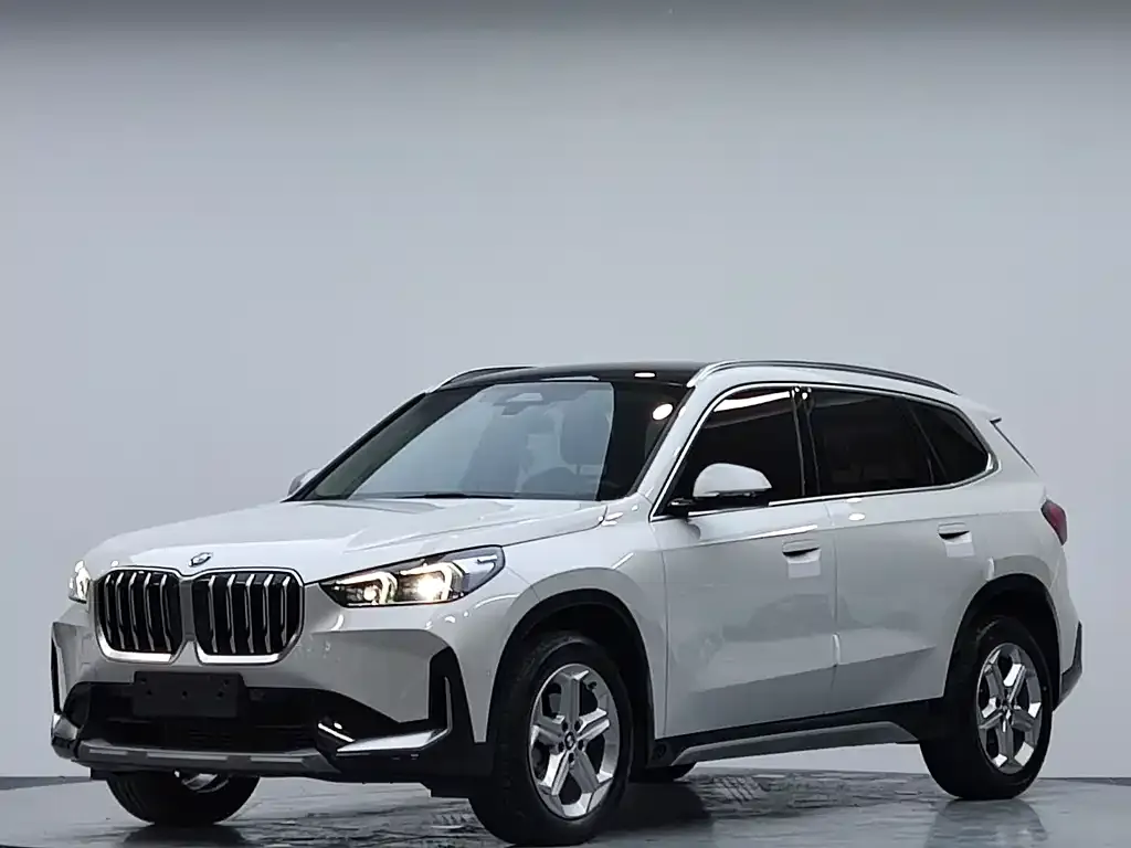 BMW X1 — фото 1