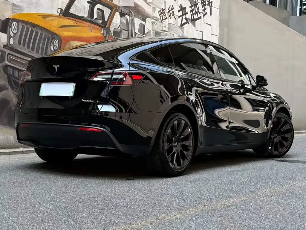Tesla Model Y — фото 9