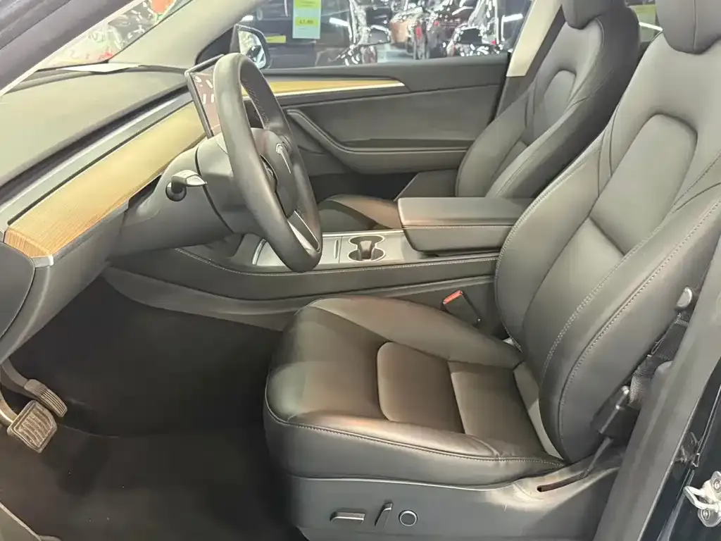 Tesla Model Y — фото 10