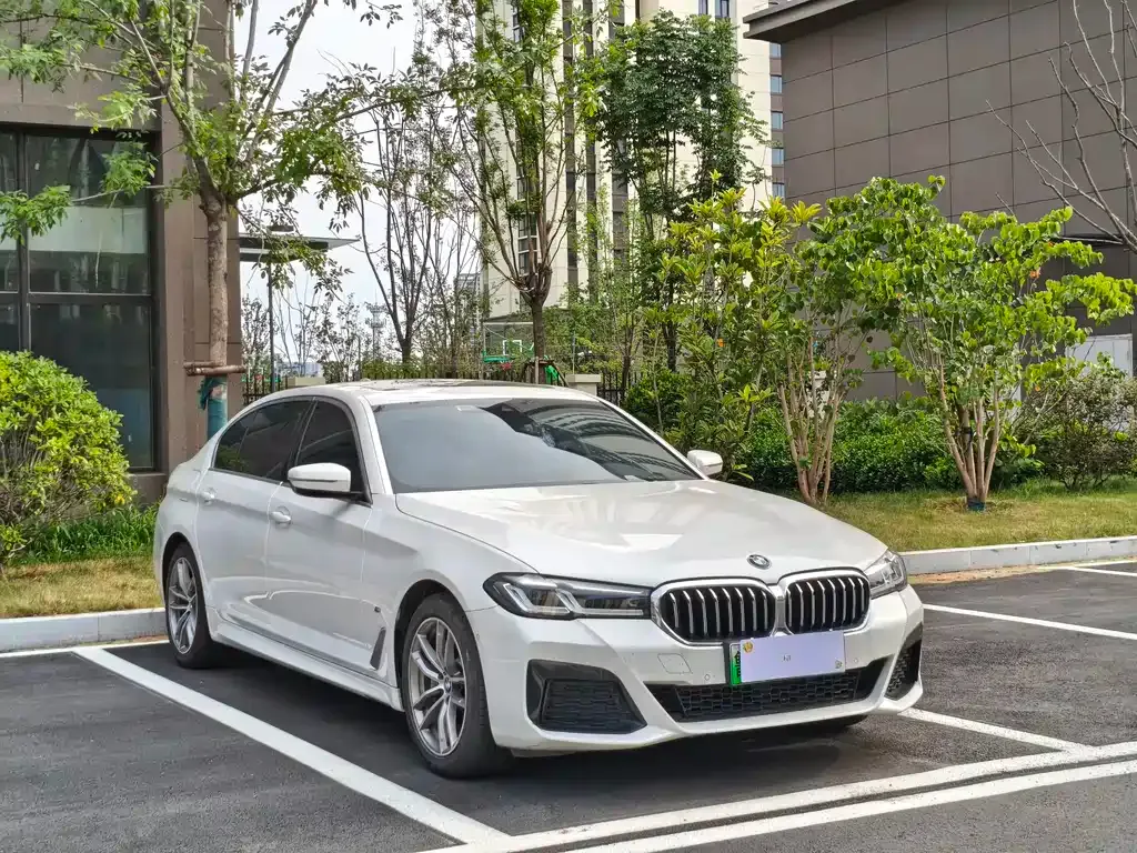 BMW 5 Series New Energy — фото 9