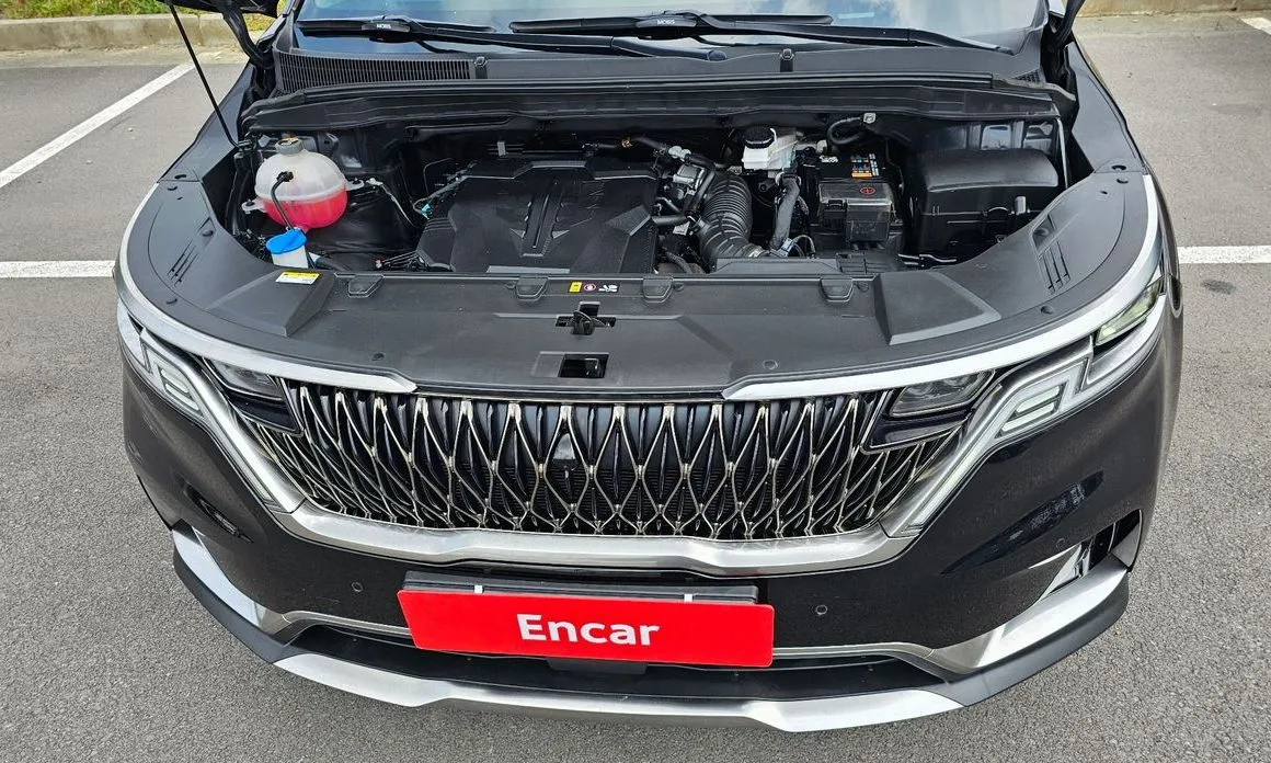 Kia Carnival — фото 10