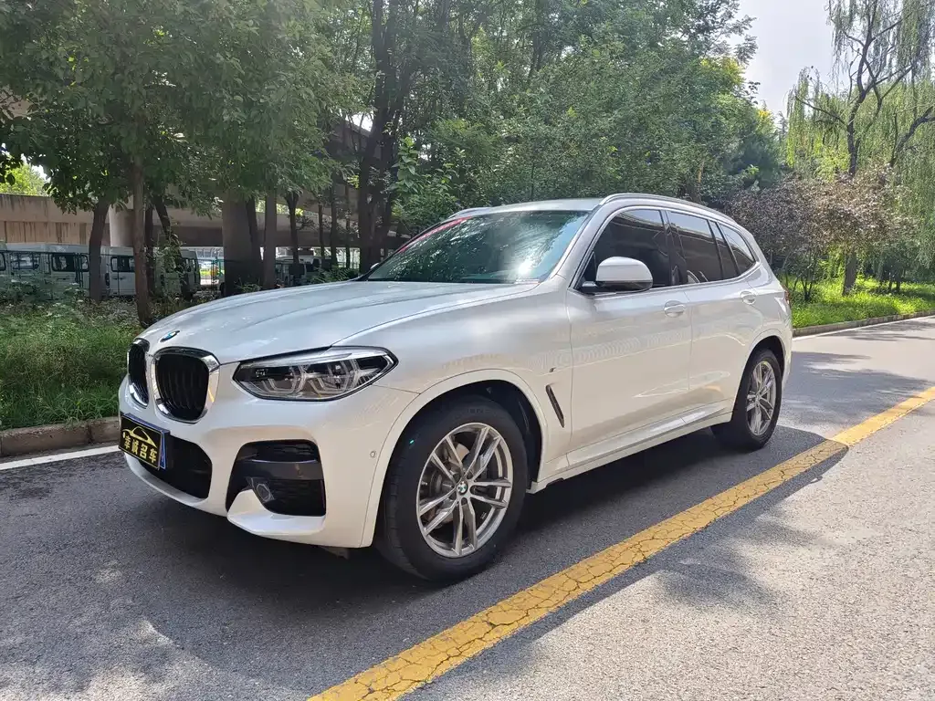BMW X3 — фото 1
