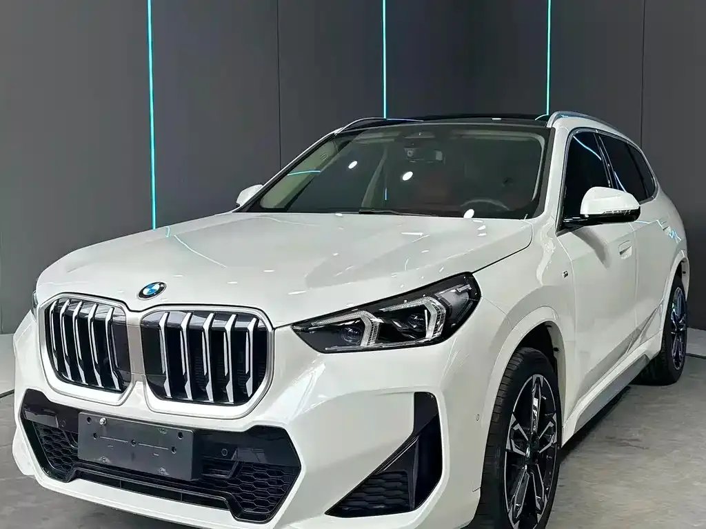 BMW X1 — фото 1