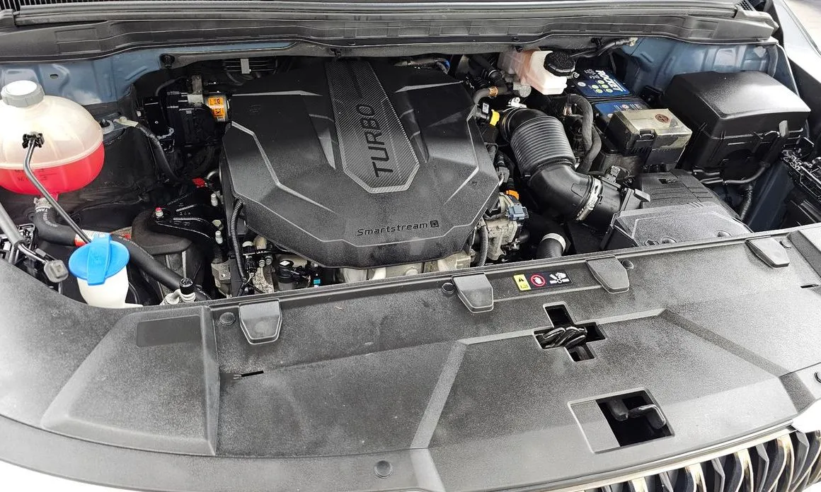 Kia Carnival — фото 10
