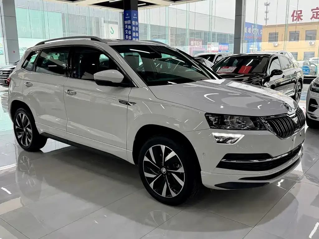 Skoda Karoq — фото 9