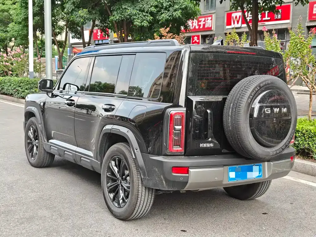 Haval Raptor — фото 10