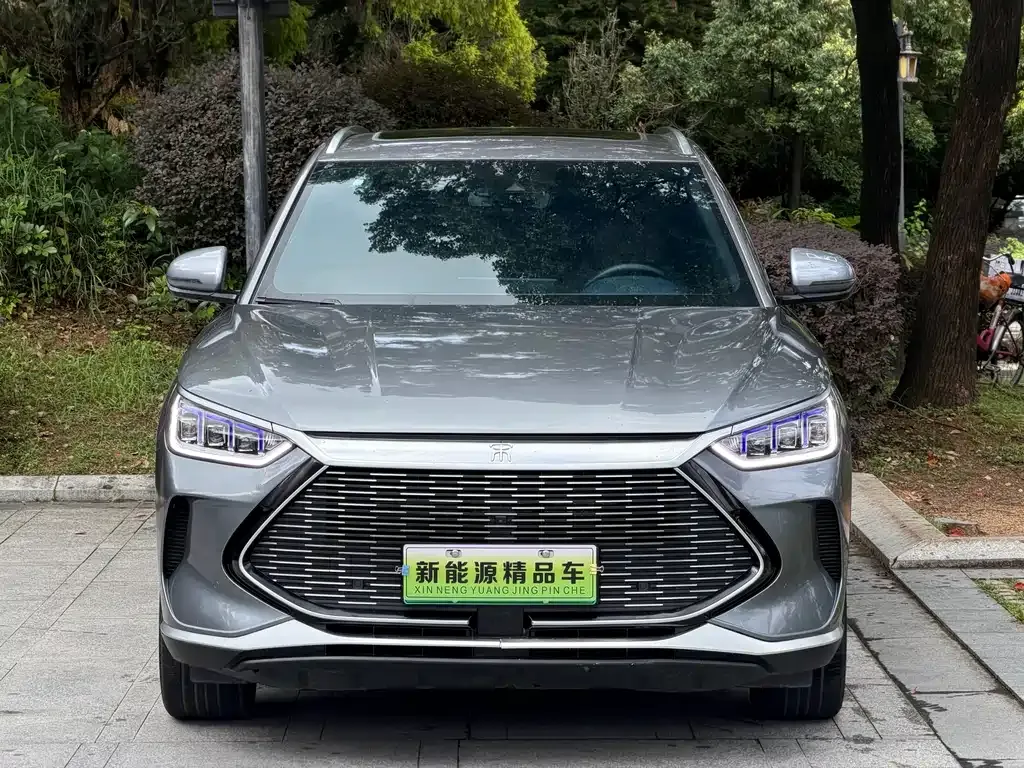 BYD PLUS New Energy 2023 из CN, фото 10