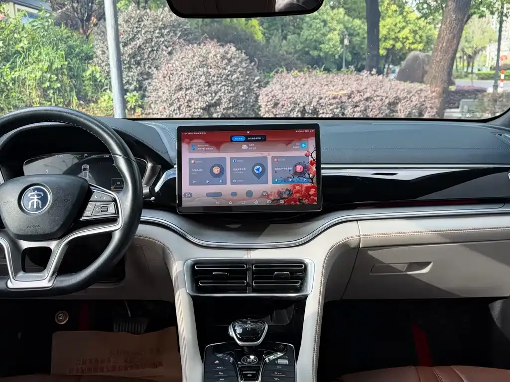 BYD PLUS New Energy 2023 из CN, фото 3