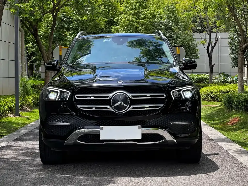 Mercedes-Benz 奔驰GLE(进口) — фото 8