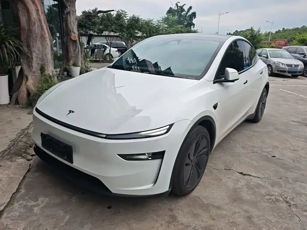 Tesla Model Y — фото 6