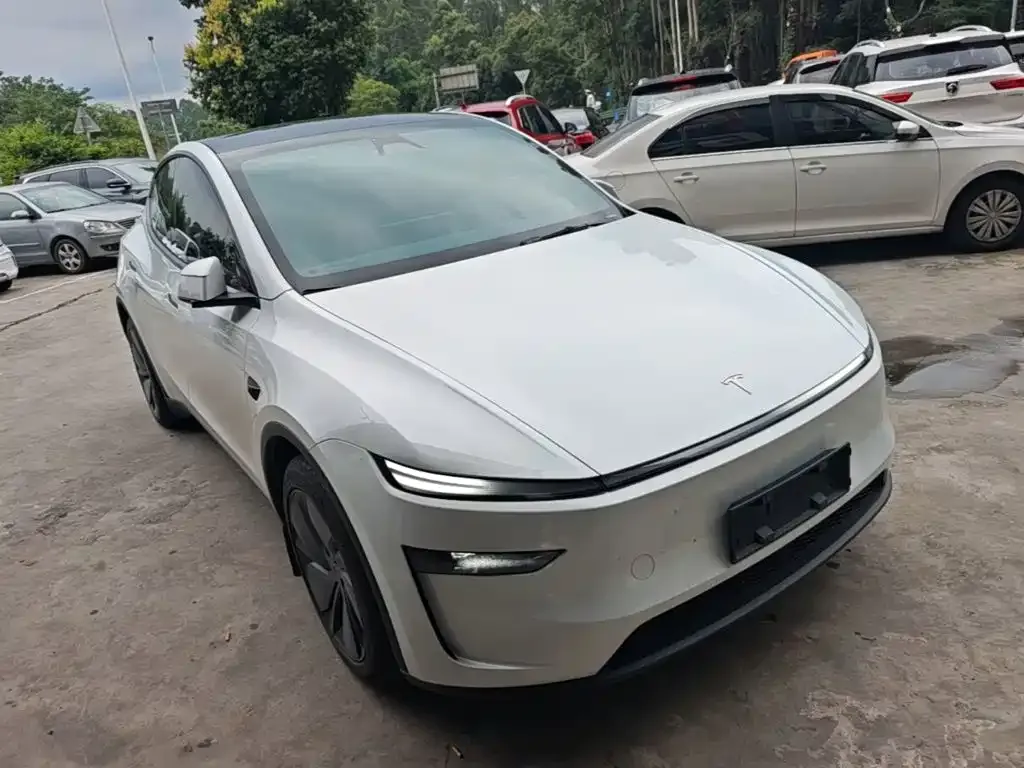 Tesla Model Y — фото 9