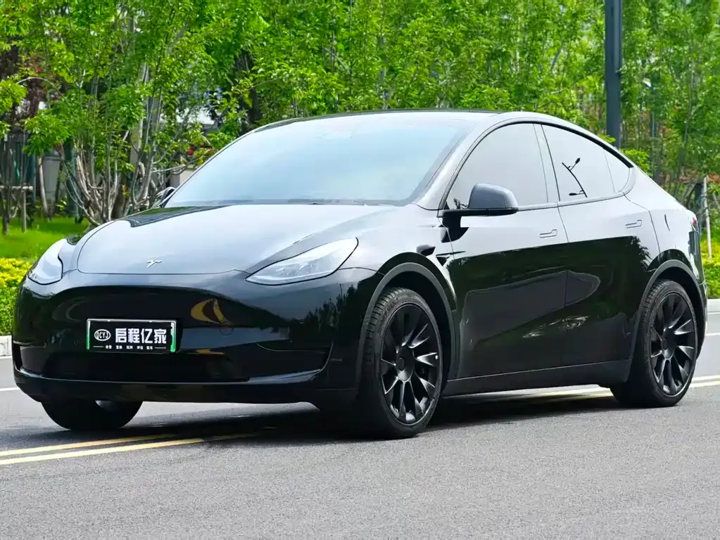 Tesla Model Y — фото 1