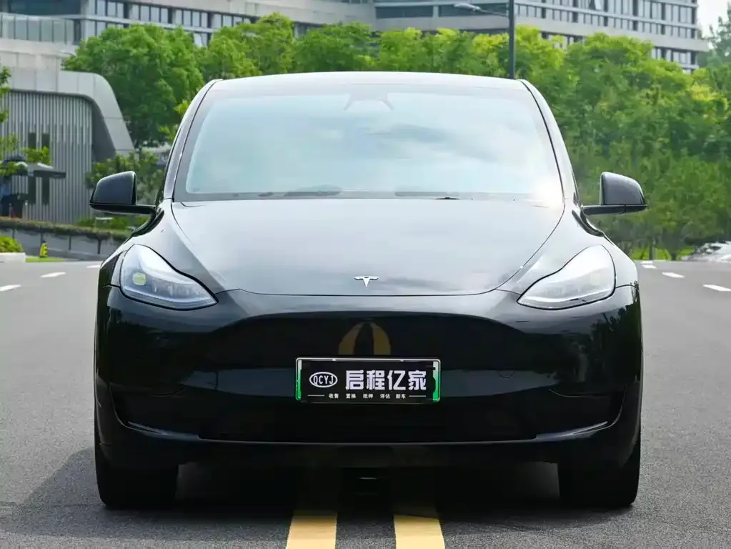 Tesla Model Y — фото 7