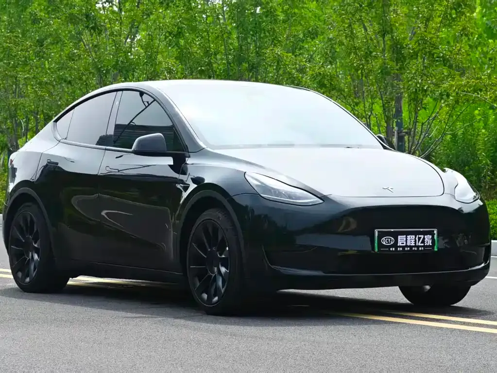 Tesla Model Y — фото 9