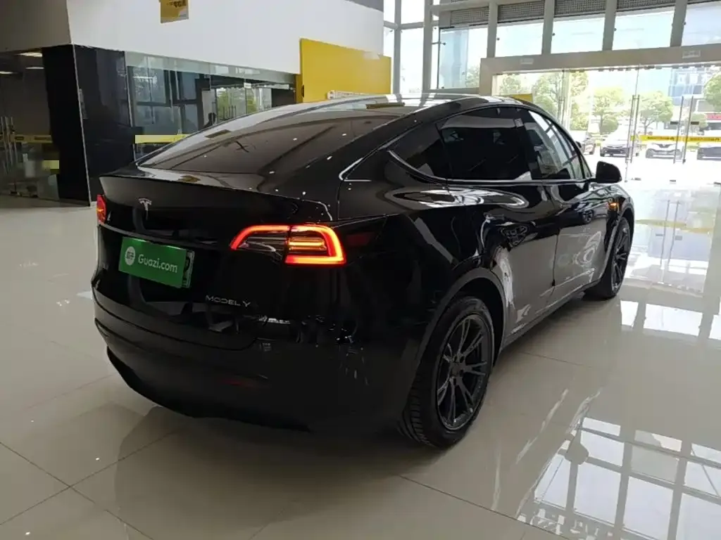 Tesla Model Y — фото 9