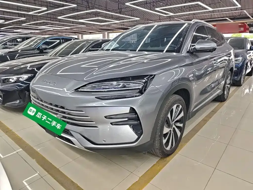 BYD PLUS New Energy