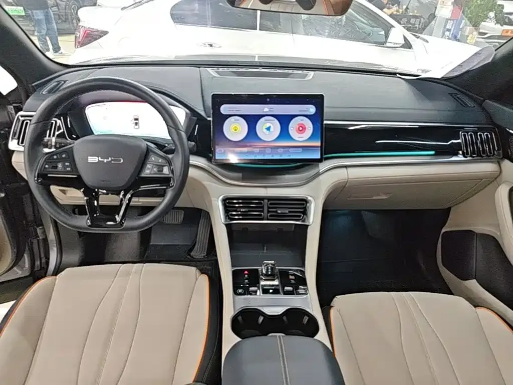 BYD PLUS New Energy 2024 из CN, фото 9