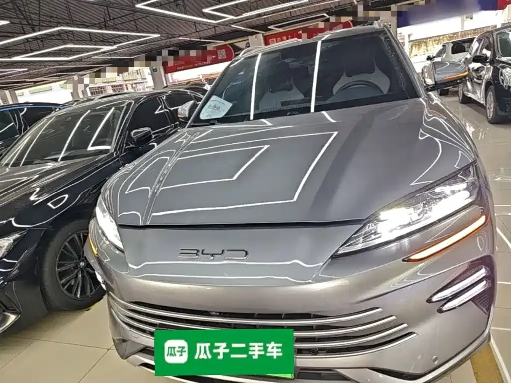 BYD PLUS New Energy 2024 из CN, фото 10