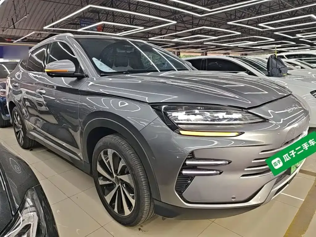 BYD PLUS New Energy 2024 из CN, фото 8