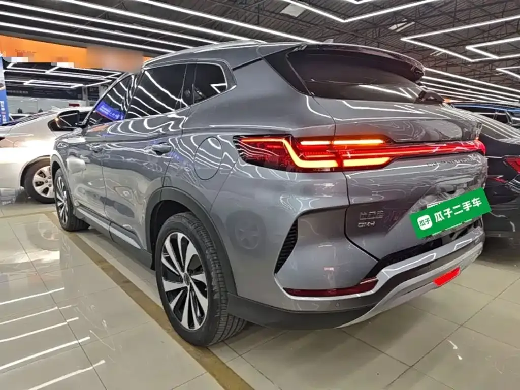 BYD PLUS New Energy 2024 из CN, фото 5