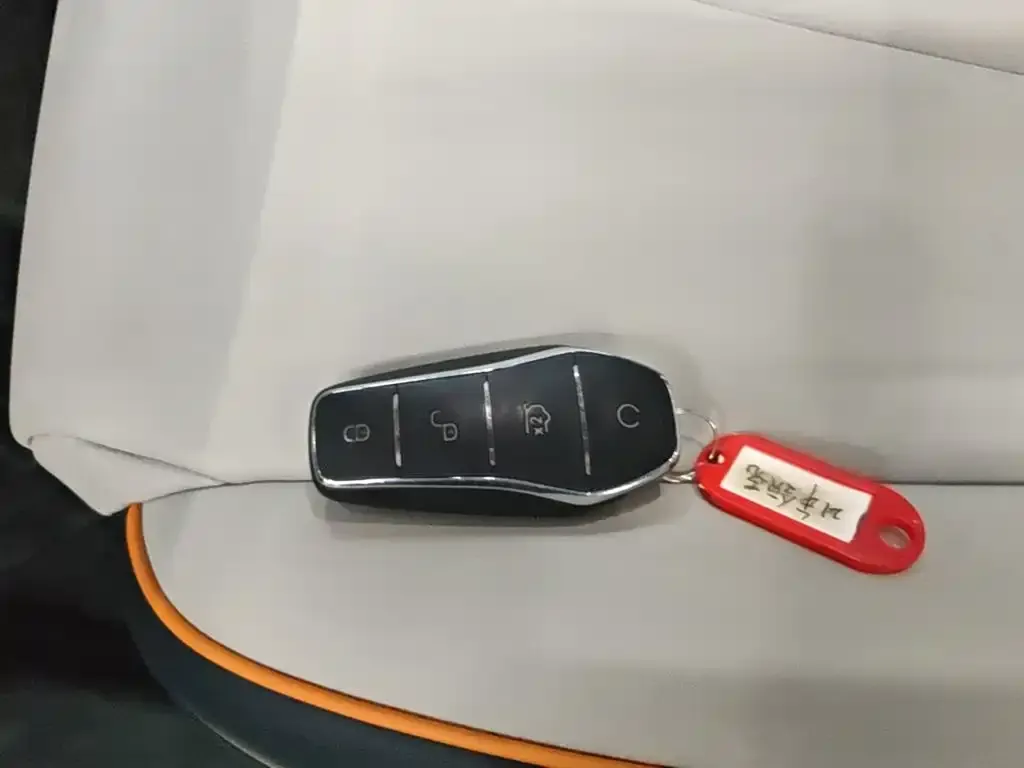 BYD PLUS New Energy 2024 из CN, фото 3