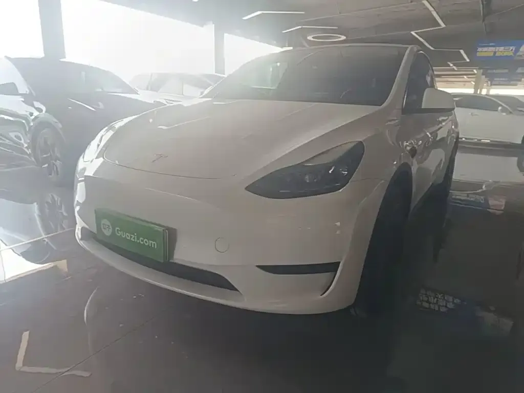Tesla Model Y — фото 8