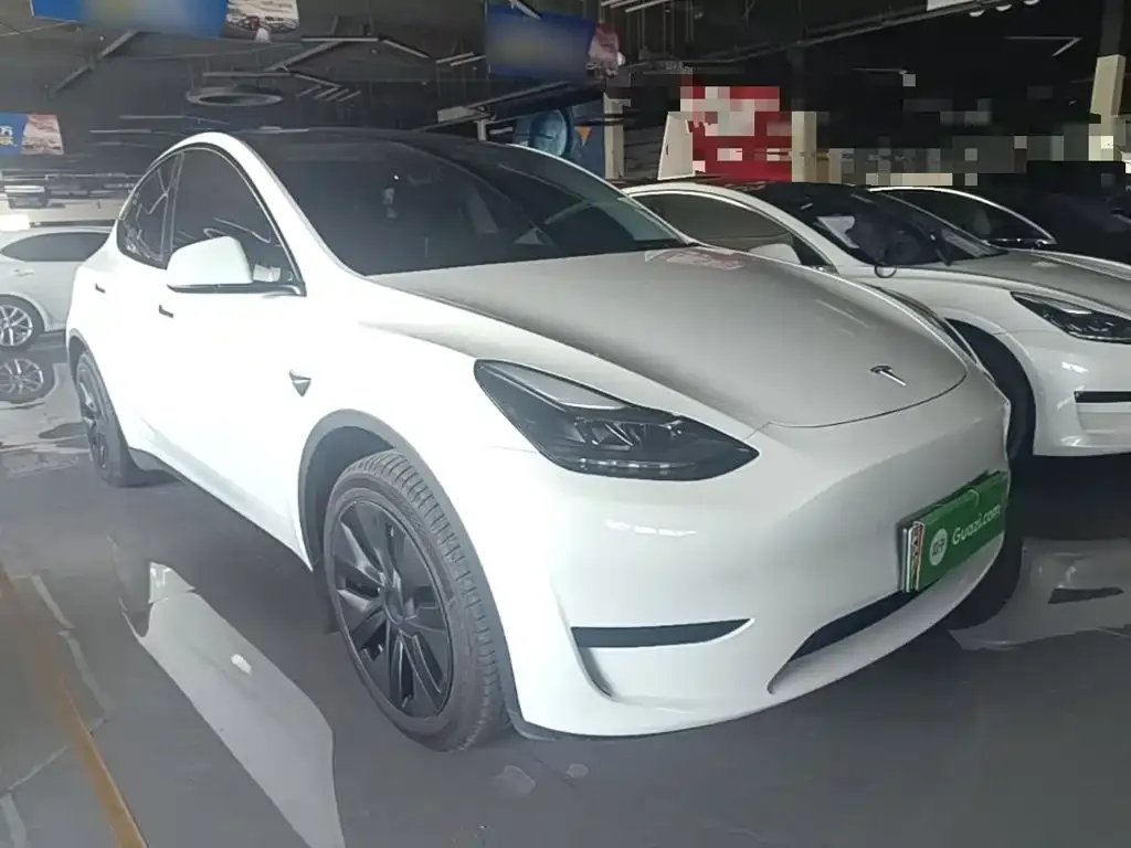 Tesla Model Y — фото 10