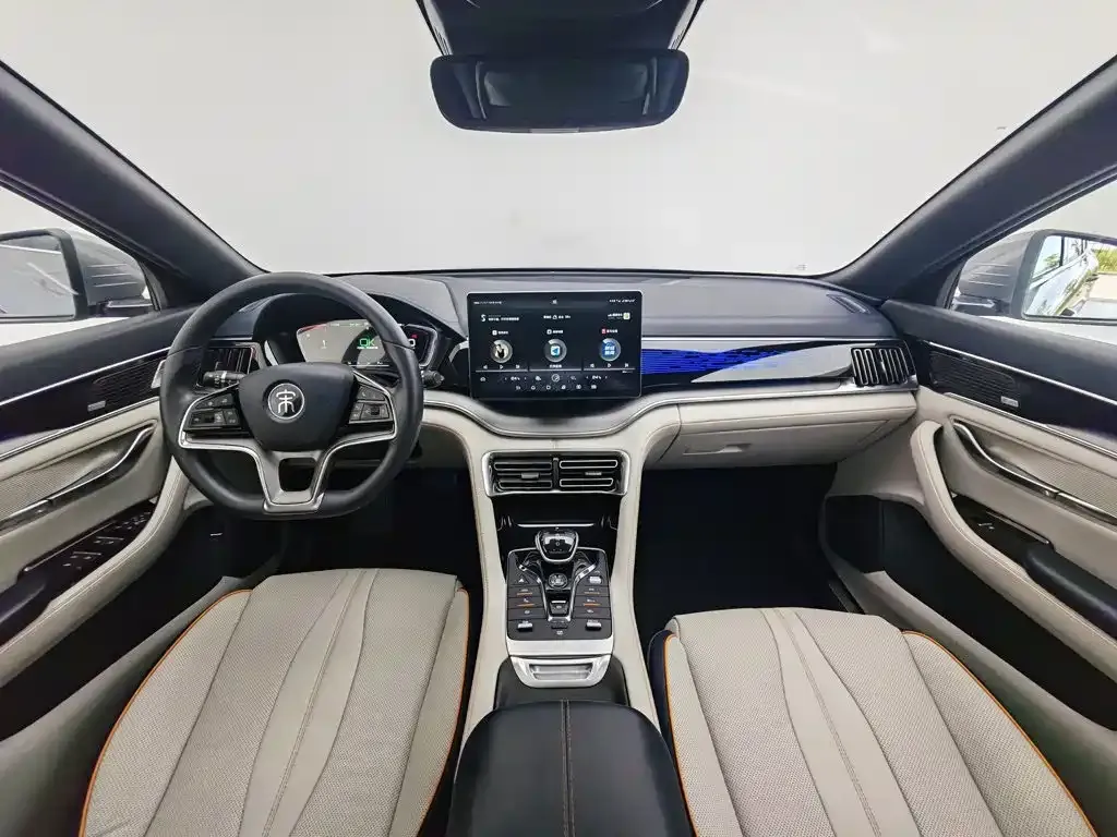 BYD PLUS New Energy — фото 8