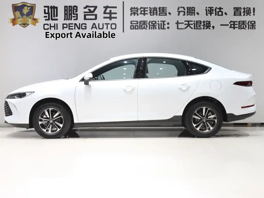 BYD Qin PLUS — фото 4