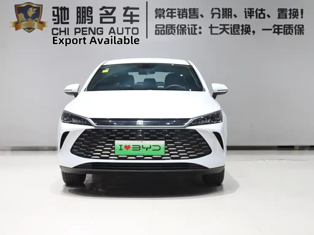 BYD Qin PLUS — фото 8
